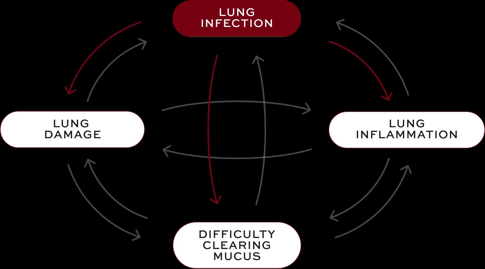 Bronchiectasis (BE) interconnected factors—lung infection