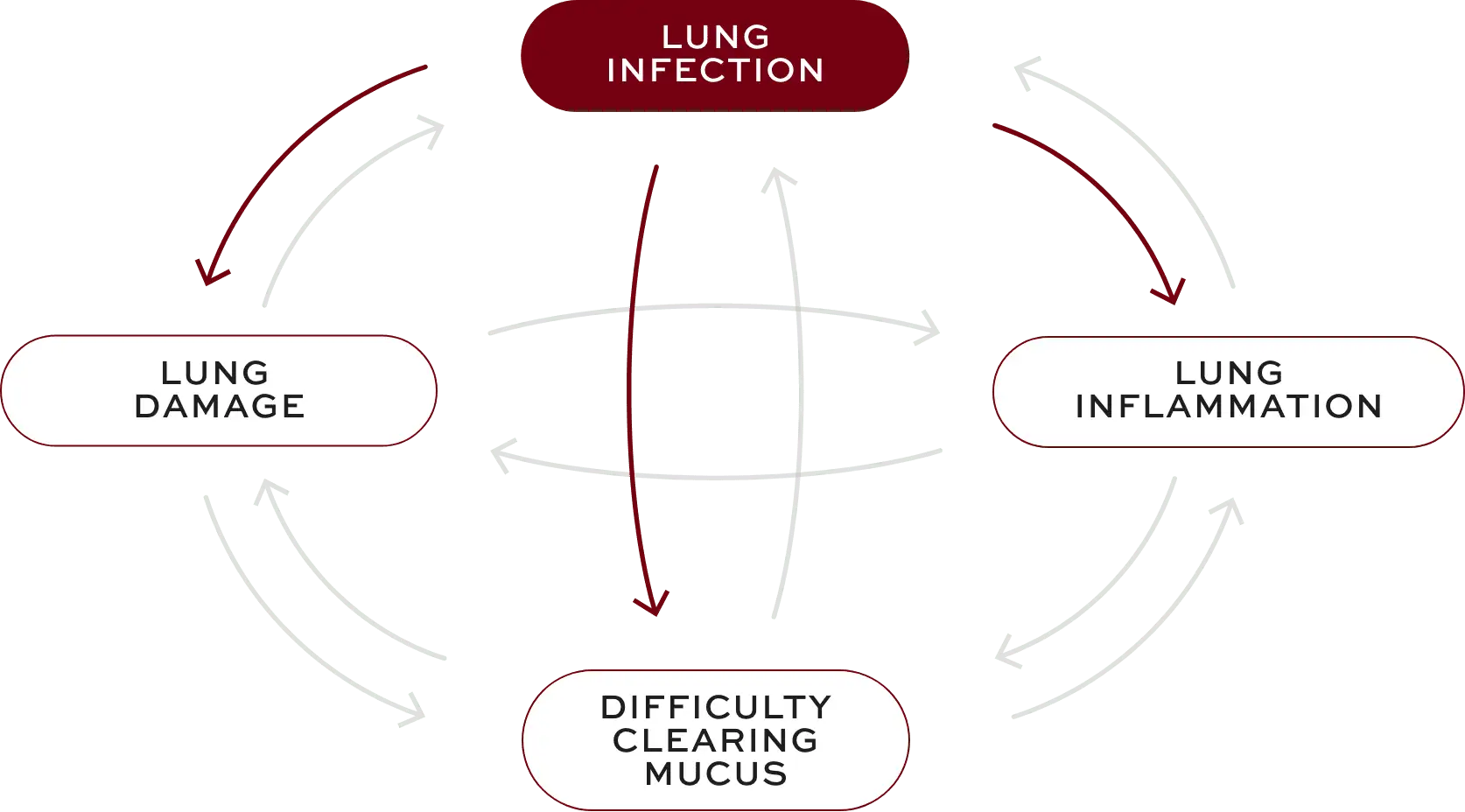 Bronchiectasis (BE) interconnected factors—lung infection